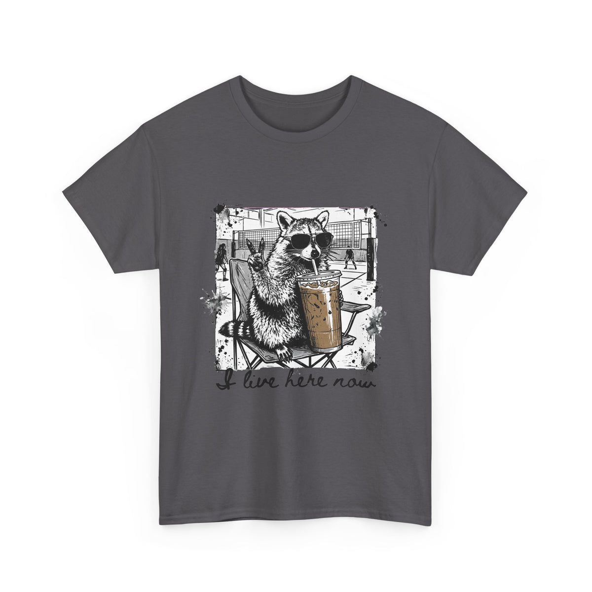 I Live Here Now Volleyball Raccoon Tee – Comfort Colors Espresso