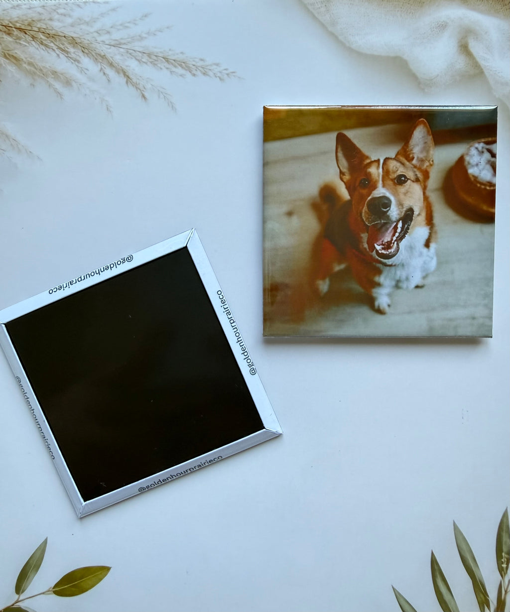 Custom Photo Magnets